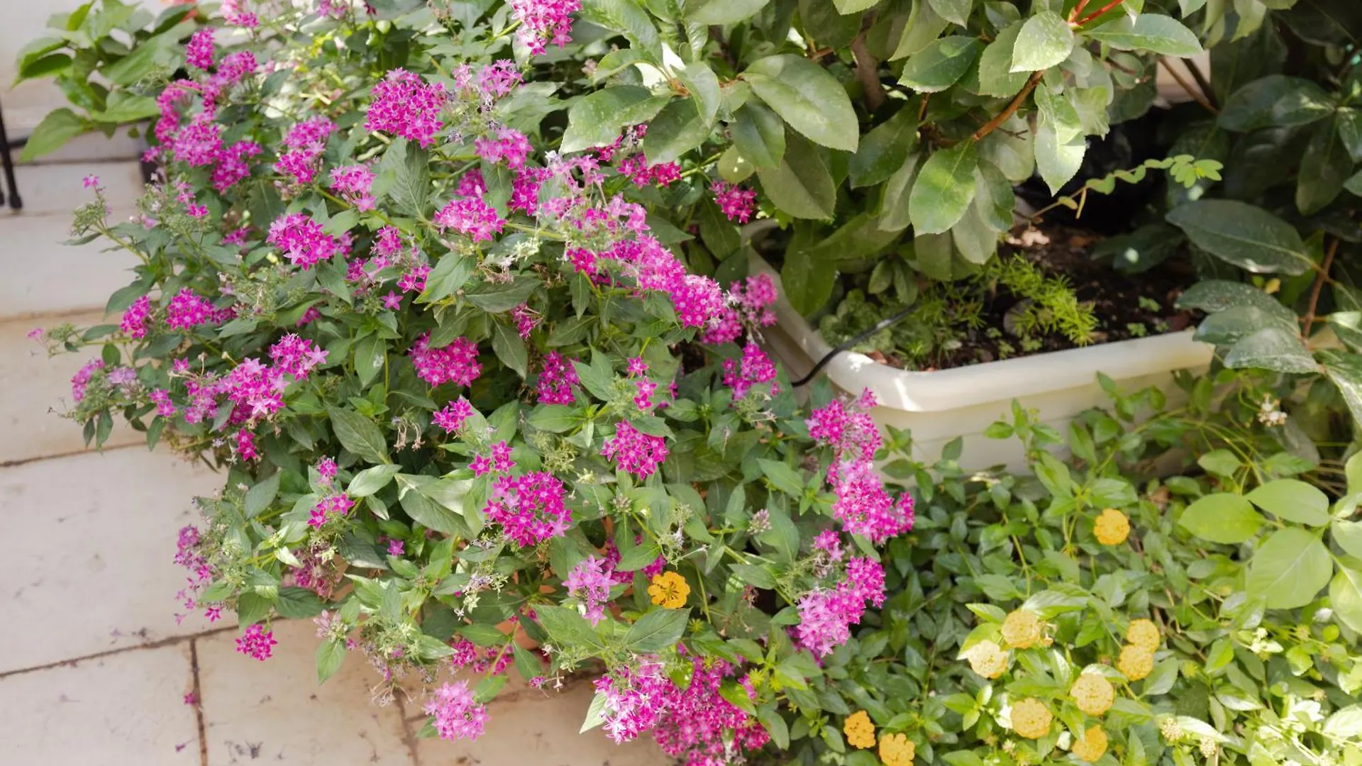 Guest house Janna 'E Mare Hotel Cagliari